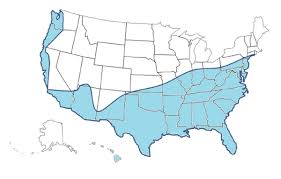 Aedes aegypti US map