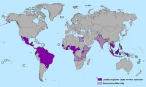 CDC Zika Map