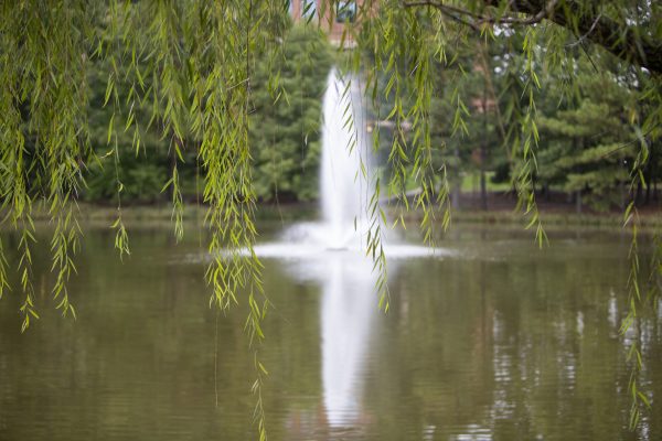 A fountain installed in a pond at a business park.