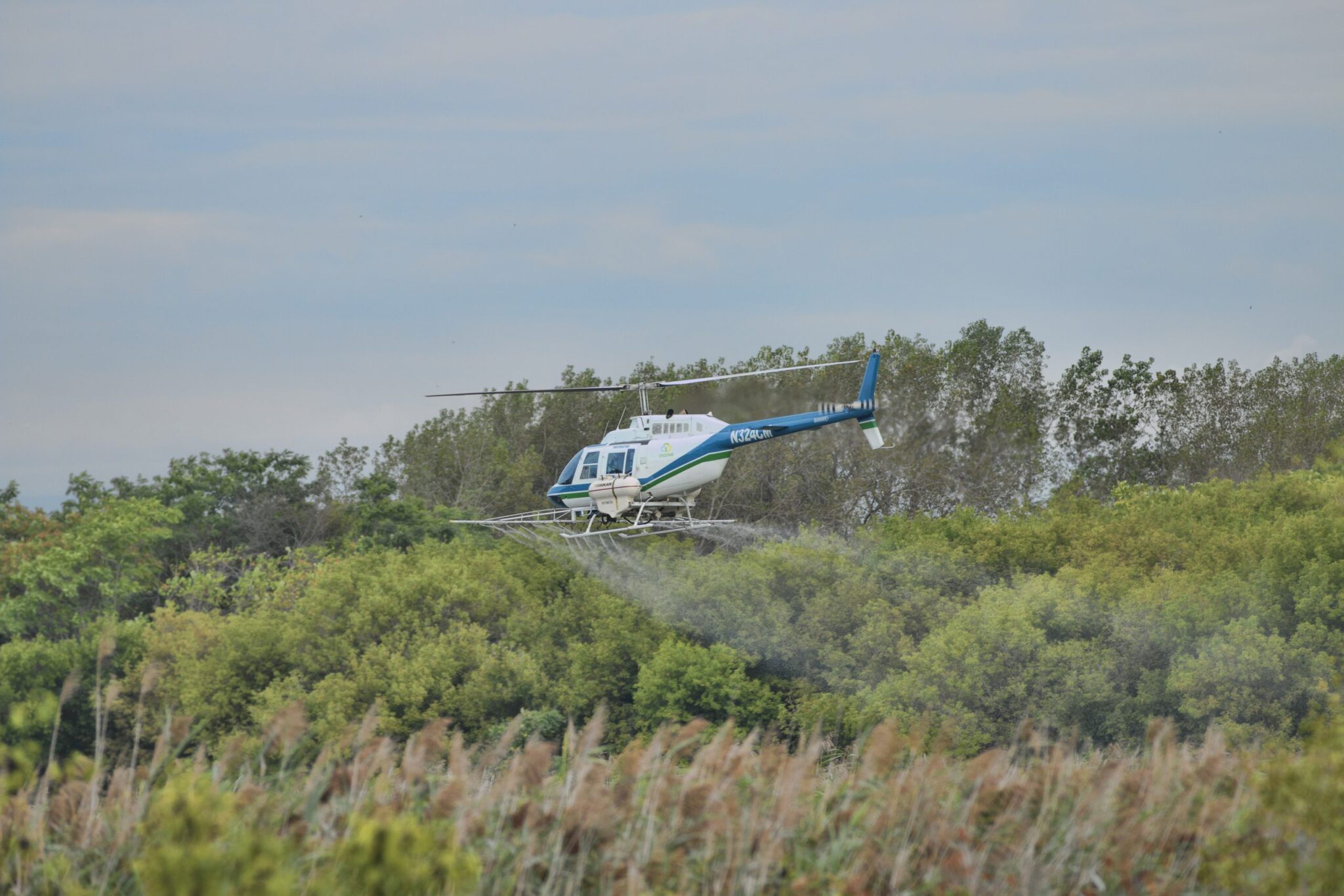 Clarkes helicopter applying herbicide to phragmites in an aerial application.
