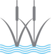 River reeds in water icon