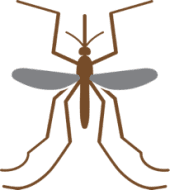 Mosquito icon