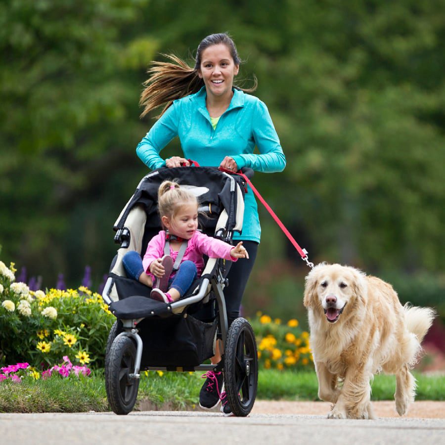 mother and child jog with a dog in a neighborhood