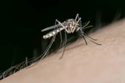 Leveraging Mosquito Industry Resources for Community Education