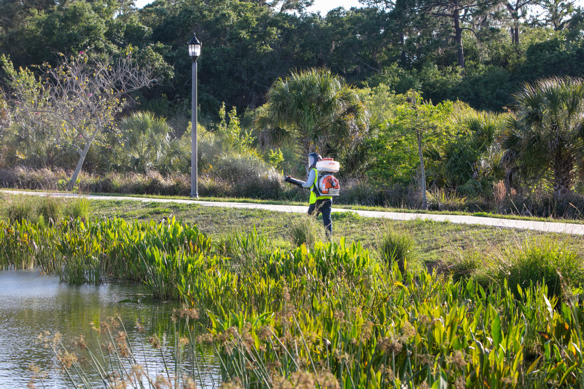 Mosquito spraying near me