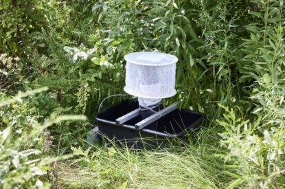 A Gravid Trap