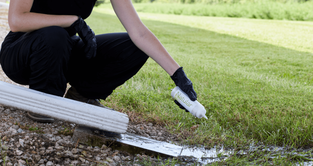 Natular G30 being applied via a shaker bottle as a professional larvicide for standing water