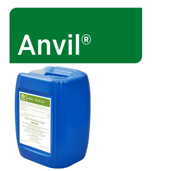 Anvil Web Graphic