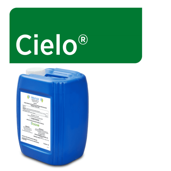 Cielo Web Graphic