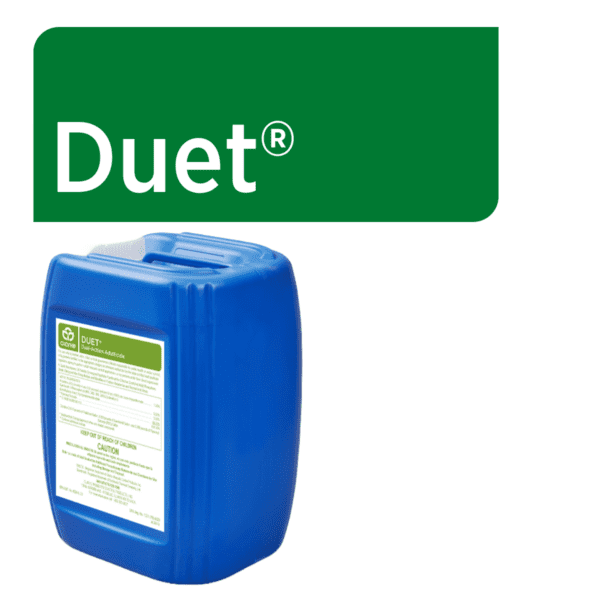 Duet Web Graphic