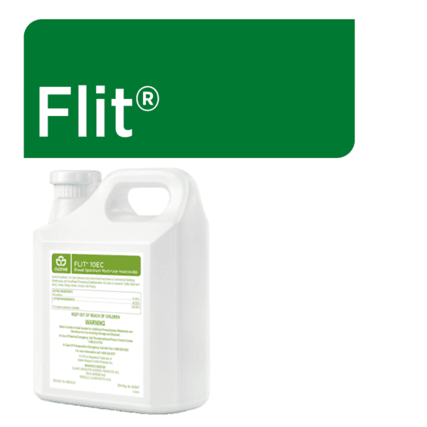 Flit Web Graphic