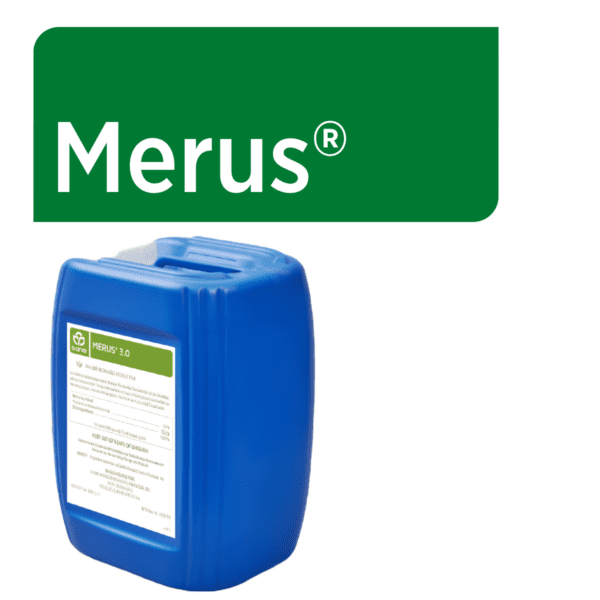 Merus Web Graphic