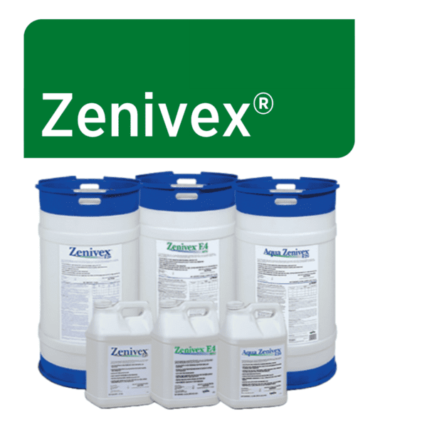 Zenivex Web Graphic
