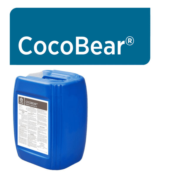 CocoBear Web Graphic