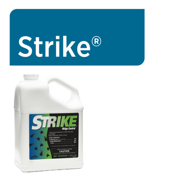 Strike Web Graphic