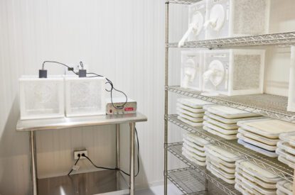 Inside Clarke's New Insectary Chamber